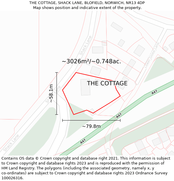 THE COTTAGE, SHACK LANE, BLOFIELD, NORWICH, NR13 4DP: Plot and title map