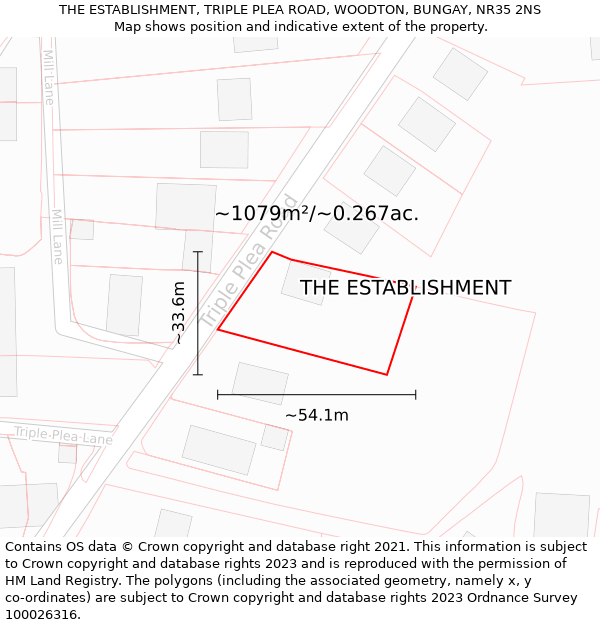 THE ESTABLISHMENT, TRIPLE PLEA ROAD, WOODTON, BUNGAY, NR35 2NS: Plot and title map