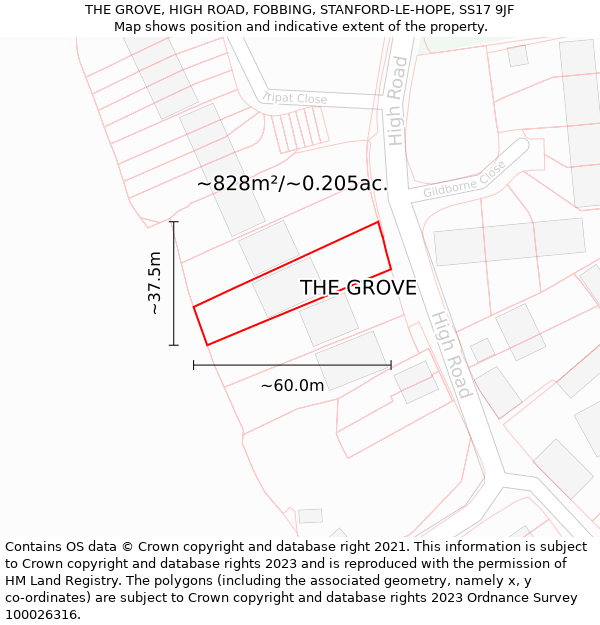 THE GROVE, HIGH ROAD, FOBBING, STANFORD-LE-HOPE, SS17 9JF: Plot and title map