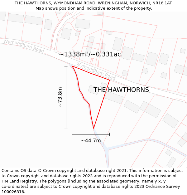 THE HAWTHORNS, WYMONDHAM ROAD, WRENINGHAM, NORWICH, NR16 1AT: Plot and title map