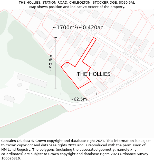 THE HOLLIES, STATION ROAD, CHILBOLTON, STOCKBRIDGE, SO20 6AL: Plot and title map