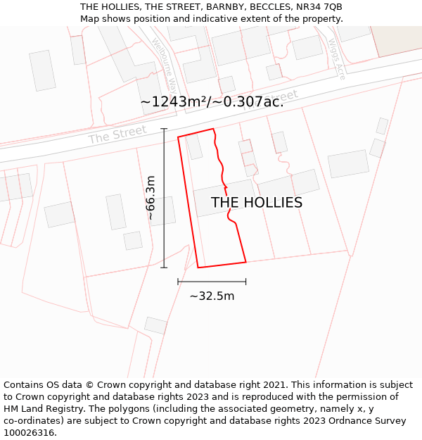 THE HOLLIES, THE STREET, BARNBY, BECCLES, NR34 7QB: Plot and title map