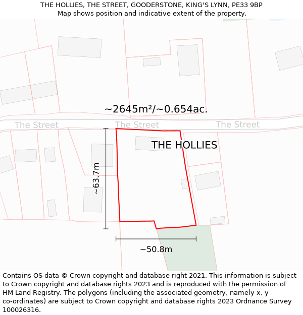 THE HOLLIES, THE STREET, GOODERSTONE, KING'S LYNN, PE33 9BP: Plot and title map