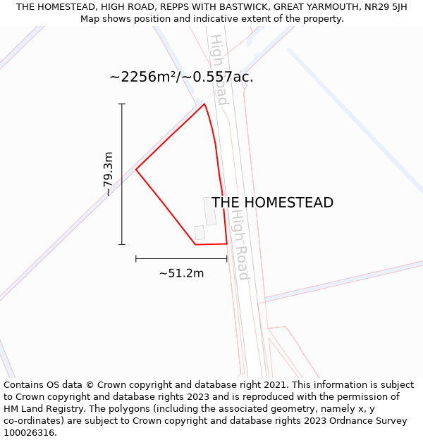 THE HOMESTEAD, HIGH ROAD, REPPS WITH BASTWICK, GREAT YARMOUTH, NR29 5JH: Plot and title map