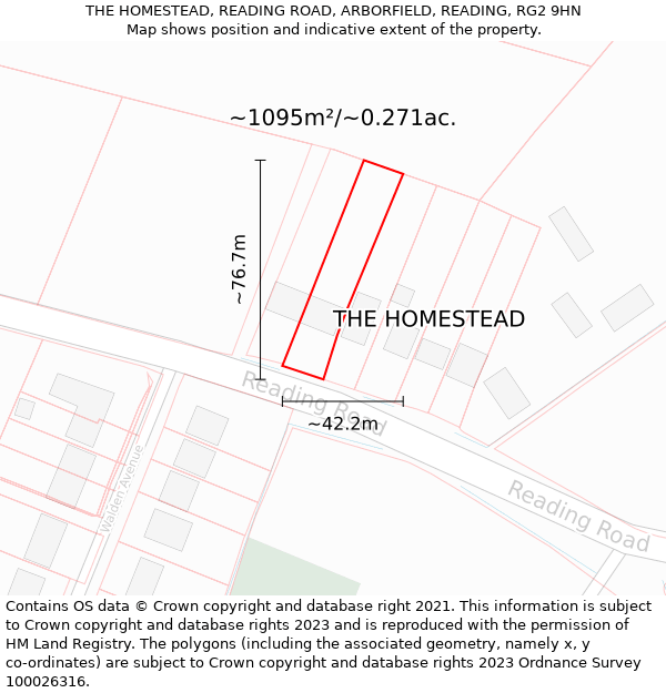 THE HOMESTEAD, READING ROAD, ARBORFIELD, READING, RG2 9HN: Plot and title map