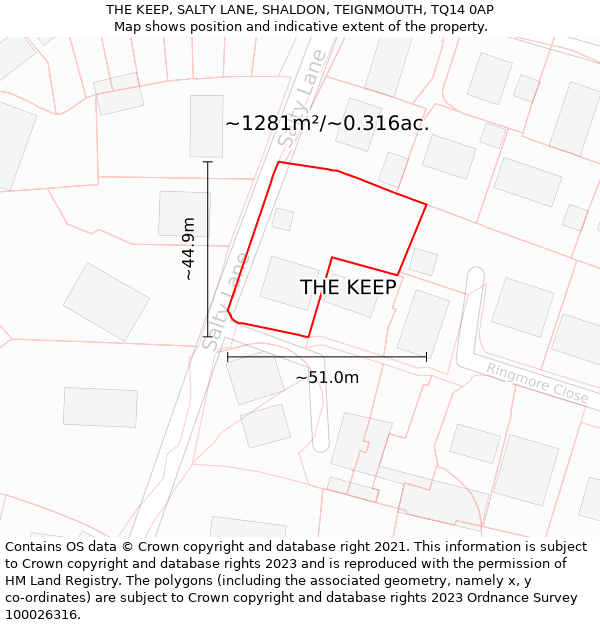 THE KEEP, SALTY LANE, SHALDON, TEIGNMOUTH, TQ14 0AP: Plot and title map