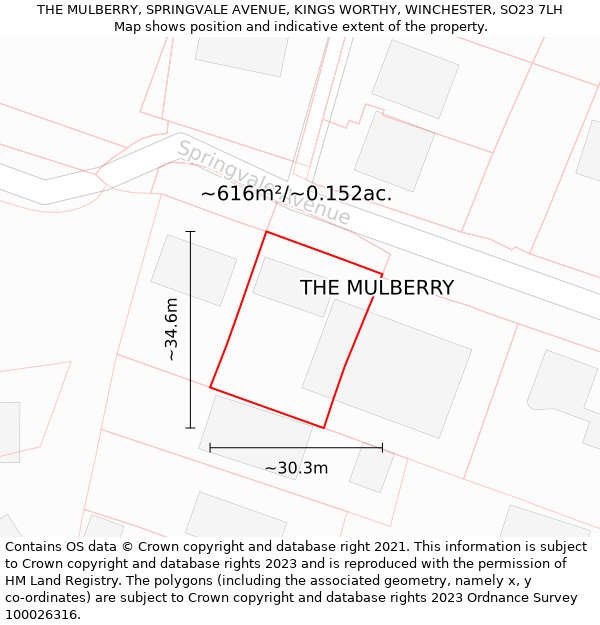 THE MULBERRY, SPRINGVALE AVENUE, KINGS WORTHY, WINCHESTER, SO23 7LH: Plot and title map