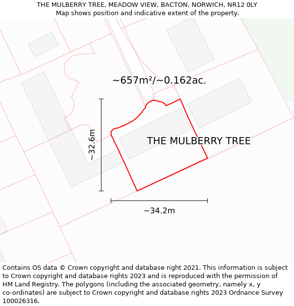 THE MULBERRY TREE, MEADOW VIEW, BACTON, NORWICH, NR12 0LY: Plot and title map