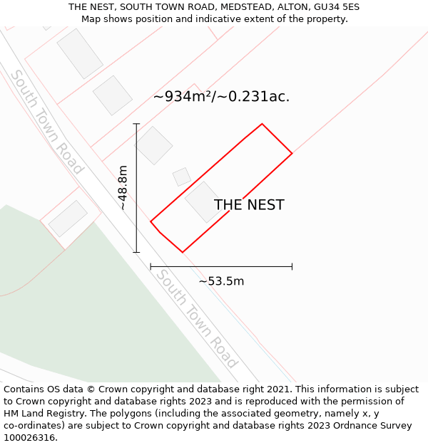 THE NEST, SOUTH TOWN ROAD, MEDSTEAD, ALTON, GU34 5ES: Plot and title map