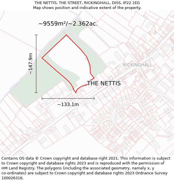 THE NETTIS, THE STREET, RICKINGHALL, DISS, IP22 1EG: Plot and title map