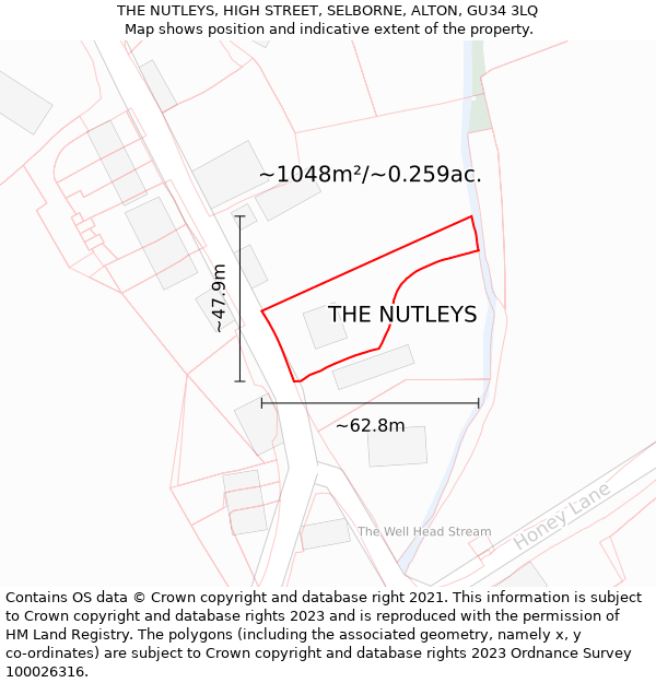 THE NUTLEYS, HIGH STREET, SELBORNE, ALTON, GU34 3LQ: Plot and title map