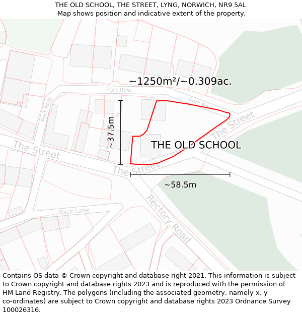 THE OLD SCHOOL, THE STREET, LYNG, NORWICH, NR9 5AL: Plot and title map