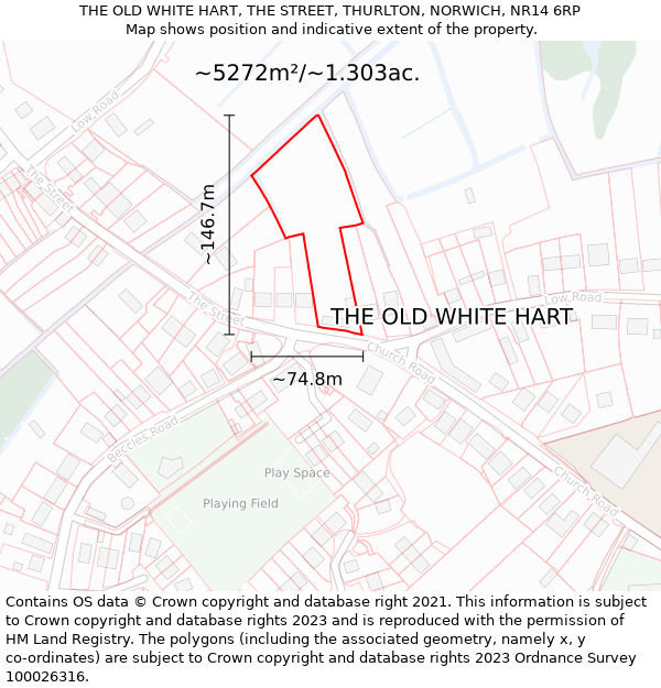 THE OLD WHITE HART, THE STREET, THURLTON, NORWICH, NR14 6RP: Plot and title map