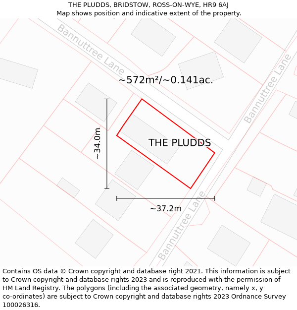 THE PLUDDS, BRIDSTOW, ROSS-ON-WYE, HR9 6AJ: Plot and title map