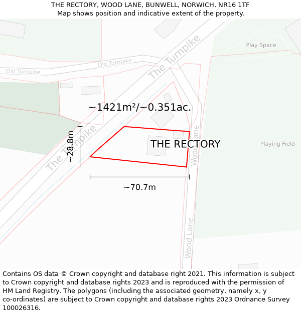 THE RECTORY, WOOD LANE, BUNWELL, NORWICH, NR16 1TF: Plot and title map