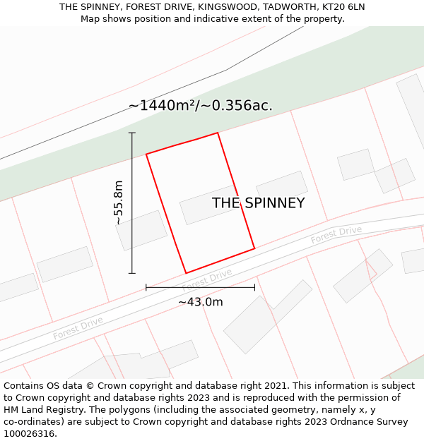 THE SPINNEY, FOREST DRIVE, KINGSWOOD, TADWORTH, KT20 6LN: Plot and title map