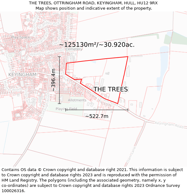 THE TREES, OTTRINGHAM ROAD, KEYINGHAM, HULL, HU12 9RX: Plot and title map