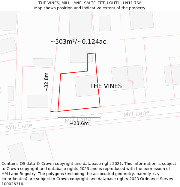 THE VINES, MILL LANE, SALTFLEET, LOUTH, LN11 7SA: Plot and title map