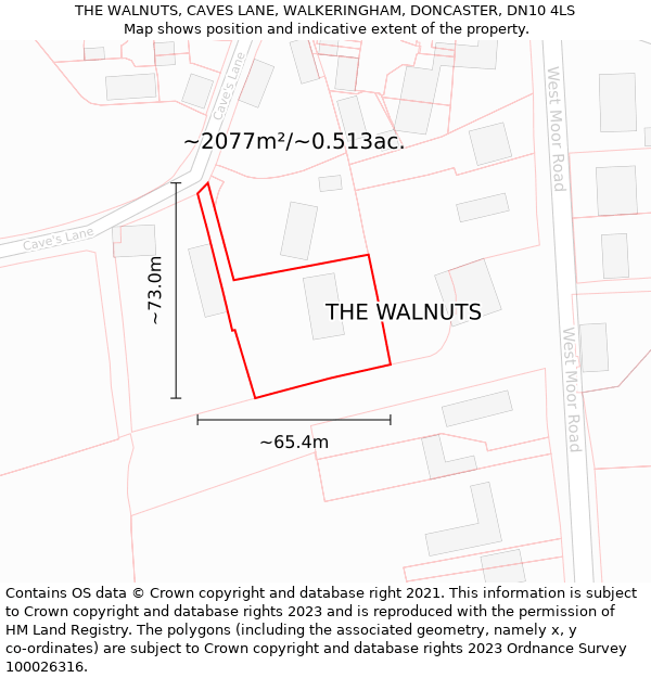 THE WALNUTS, CAVES LANE, WALKERINGHAM, DONCASTER, DN10 4LS: Plot and title map