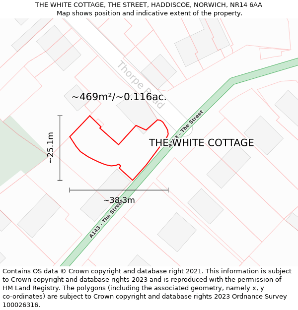 THE WHITE COTTAGE, THE STREET, HADDISCOE, NORWICH, NR14 6AA: Plot and title map