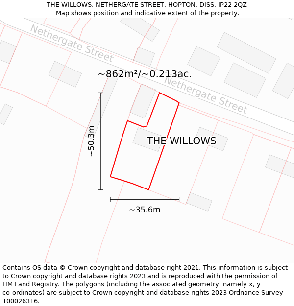 THE WILLOWS, NETHERGATE STREET, HOPTON, DISS, IP22 2QZ: Plot and title map