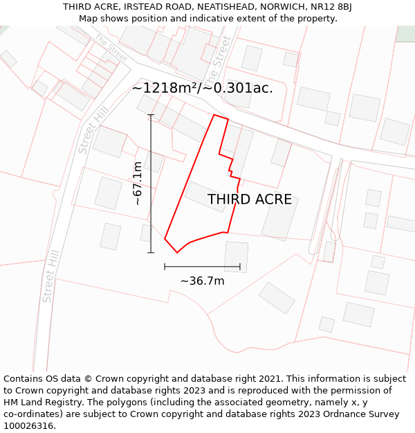 THIRD ACRE, IRSTEAD ROAD, NEATISHEAD, NORWICH, NR12 8BJ: Plot and title map