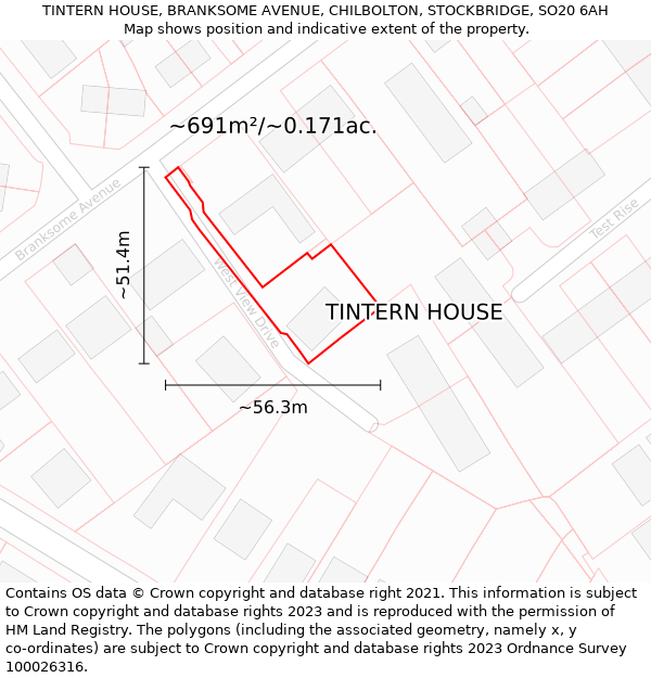 TINTERN HOUSE, BRANKSOME AVENUE, CHILBOLTON, STOCKBRIDGE, SO20 6AH: Plot and title map