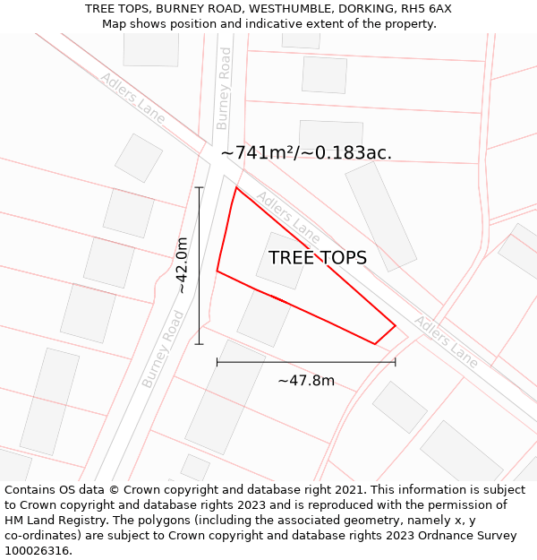 TREE TOPS, BURNEY ROAD, WESTHUMBLE, DORKING, RH5 6AX: Plot and title map