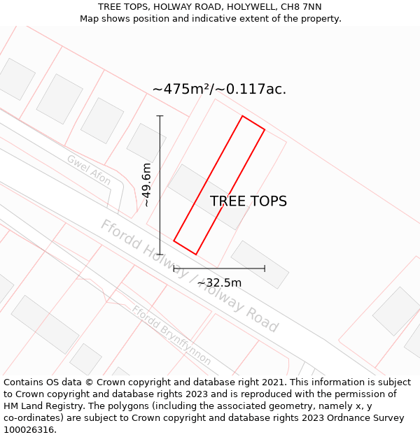 TREE TOPS, HOLWAY ROAD, HOLYWELL, CH8 7NN: Plot and title map