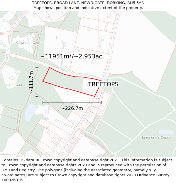 TREETOPS, BROAD LANE, NEWDIGATE, DORKING, RH5 5AS: Plot and title map