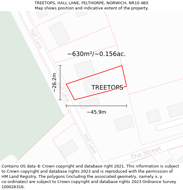 TREETOPS, HALL LANE, FELTHORPE, NORWICH, NR10 4BX: Plot and title map