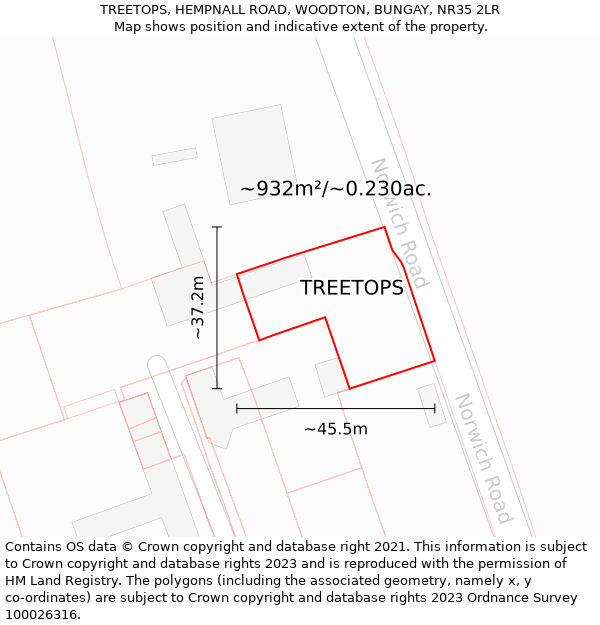 TREETOPS, HEMPNALL ROAD, WOODTON, BUNGAY, NR35 2LR: Plot and title map