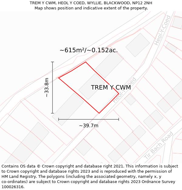 TREM Y CWM, HEOL Y COED, WYLLIE, BLACKWOOD, NP12 2NH: Plot and title map