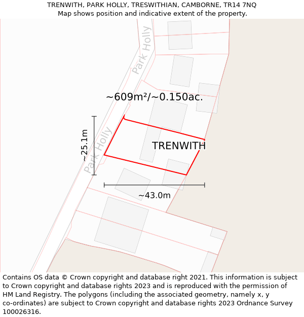 TRENWITH, PARK HOLLY, TRESWITHIAN, CAMBORNE, TR14 7NQ: Plot and title map