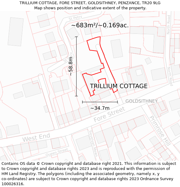 TRILLIUM COTTAGE, FORE STREET, GOLDSITHNEY, PENZANCE, TR20 9LG: Plot and title map