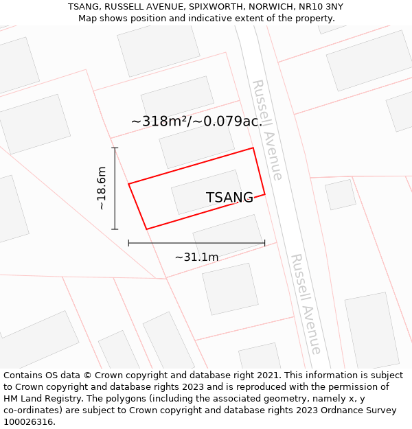 TSANG, RUSSELL AVENUE, SPIXWORTH, NORWICH, NR10 3NY: Plot and title map