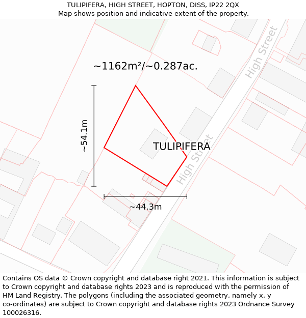 TULIPIFERA, HIGH STREET, HOPTON, DISS, IP22 2QX: Plot and title map