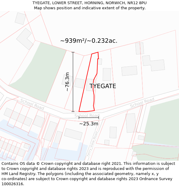 TYEGATE, LOWER STREET, HORNING, NORWICH, NR12 8PU: Plot and title map