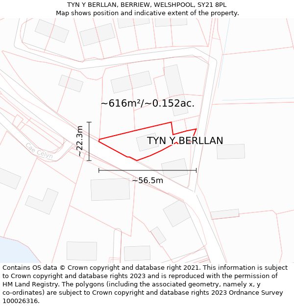 TYN Y BERLLAN, BERRIEW, WELSHPOOL, SY21 8PL: Plot and title map