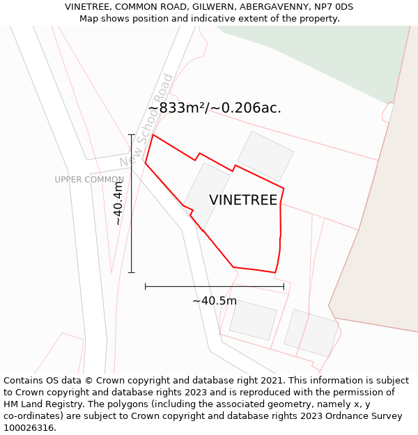 VINETREE, COMMON ROAD, GILWERN, ABERGAVENNY, NP7 0DS: Plot and title map