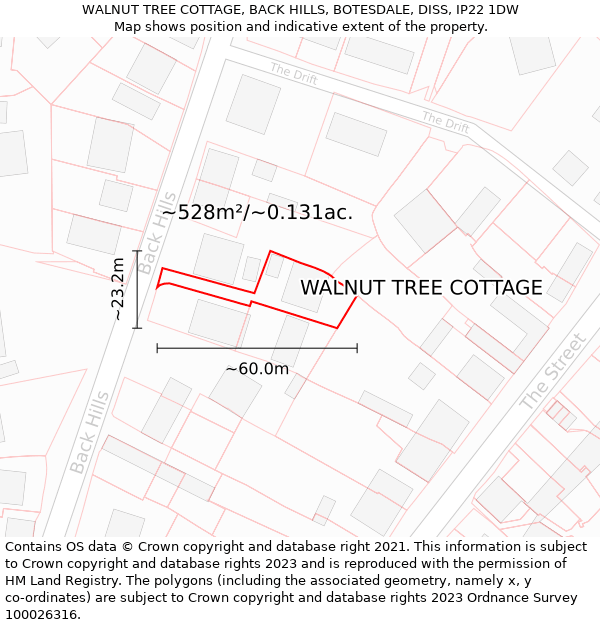 WALNUT TREE COTTAGE, BACK HILLS, BOTESDALE, DISS, IP22 1DW: Plot and title map