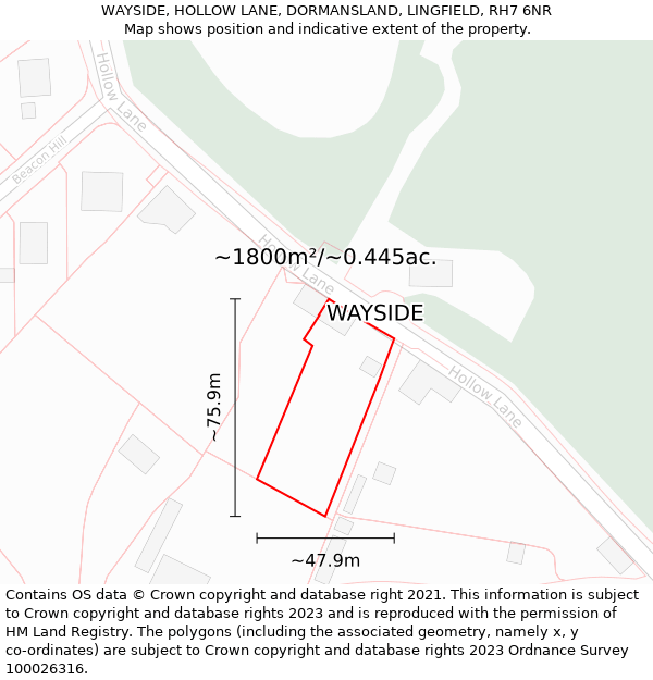 WAYSIDE, HOLLOW LANE, DORMANSLAND, LINGFIELD, RH7 6NR: Plot and title map