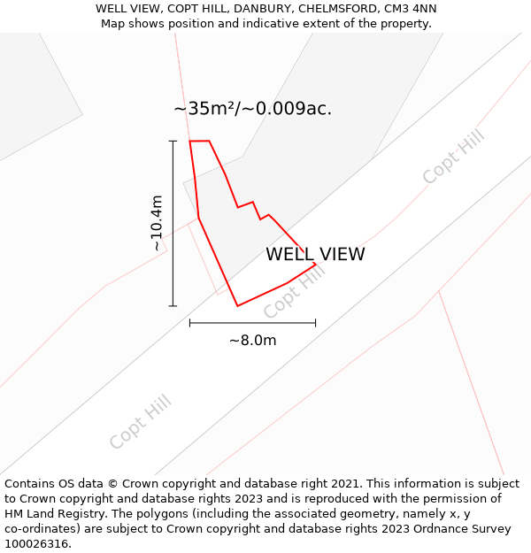 WELL VIEW, COPT HILL, DANBURY, CHELMSFORD, CM3 4NN: Plot and title map