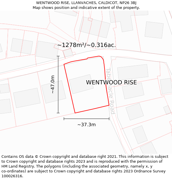WENTWOOD RISE, LLANVACHES, CALDICOT, NP26 3BJ: Plot and title map