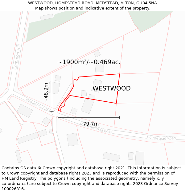WESTWOOD, HOMESTEAD ROAD, MEDSTEAD, ALTON, GU34 5NA: Plot and title map