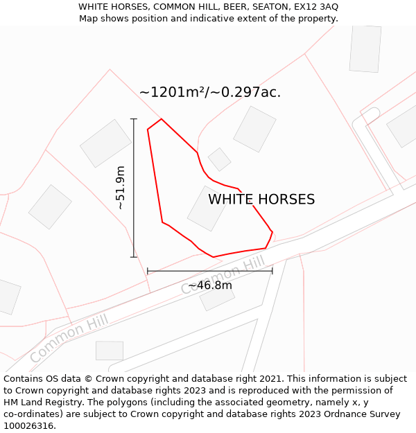 WHITE HORSES, COMMON HILL, BEER, SEATON, EX12 3AQ: Plot and title map