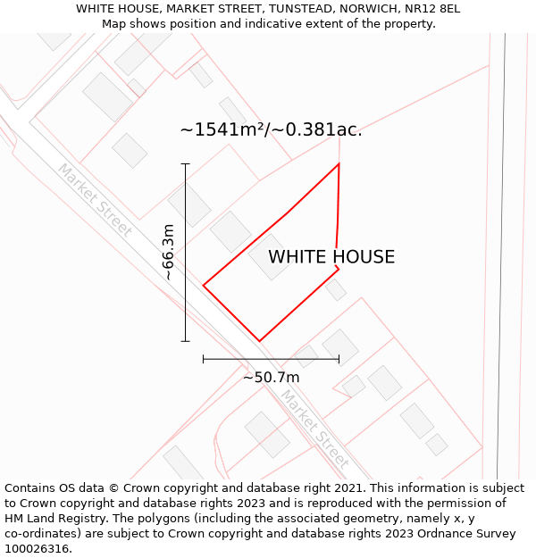 WHITE HOUSE, MARKET STREET, TUNSTEAD, NORWICH, NR12 8EL: Plot and title map