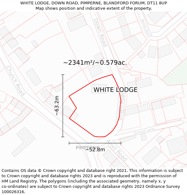 WHITE LODGE, DOWN ROAD, PIMPERNE, BLANDFORD FORUM, DT11 8UP: Plot and title map