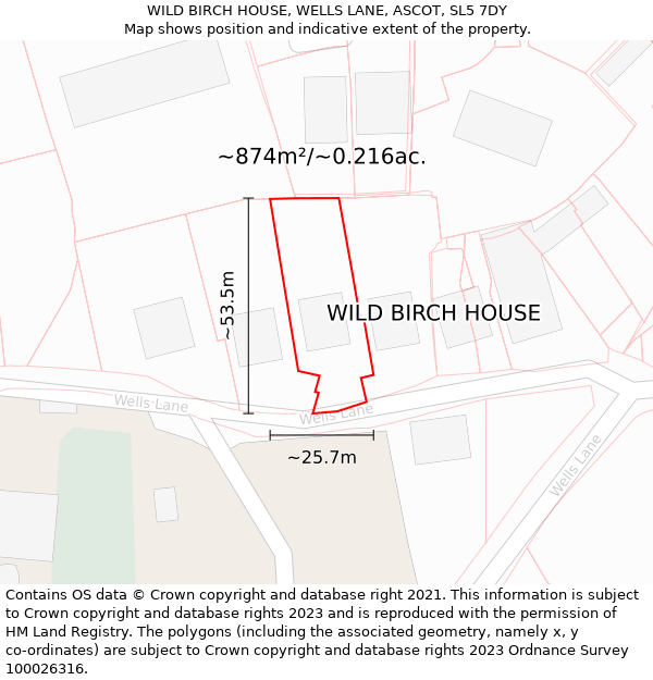 WILD BIRCH HOUSE, WELLS LANE, ASCOT, SL5 7DY: Plot and title map