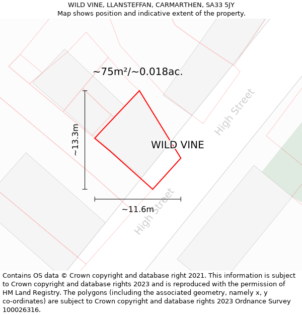 WILD VINE, LLANSTEFFAN, CARMARTHEN, SA33 5JY: Plot and title map